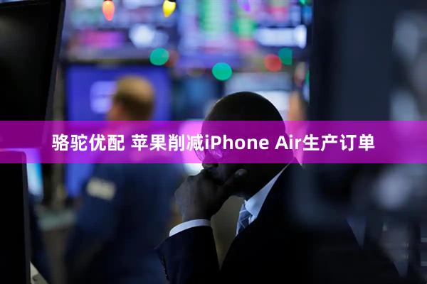骆驼优配 苹果削减iPhone Air生产订单