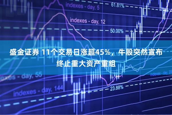 盛金证券 11个交易日涨超45%，牛股突然宣布终止重大资产重组